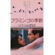 フラミンゴの季節 【VHS】シーロ・カペラッリ 1998年 アンヘラ・モリーナ ダニエル・クスニエスカ