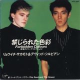 画像: 坂本龍一＆デヴィッド・シルビアン：RYUICHI SAKAMOTO & DAVID SYLVIAN / 禁じられた色彩：FORBIDDEN COLOURS 【7inch】 日本盤 初回盤 ビクター 