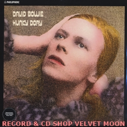 DAVID BOWIE / HUNKY DORY 【LP】新品 ヨーロッパ盤 再発盤 PARLOPHONE 180g リマスター｜○BRITISH  ROCK☆ブリティッシュ・ロック｜レコード&CDの通販ショップ VELVET MOON